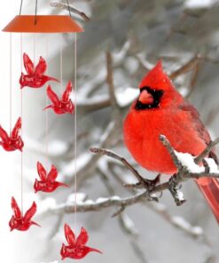 سولر کارڈنل ونڈ چائم لائٹس